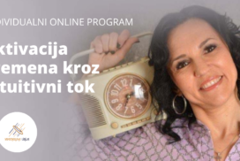 Online program (1)